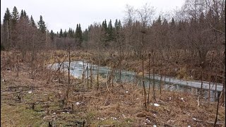 Растопка для костра в холодное время года