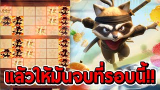 สล็อตPG | Ninja Raccoon Frenzy ➤ ให้มันจบที่รอบนี้!!