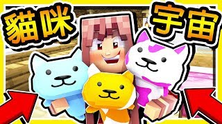 Minecraft 超萌貓咪【統治世界】😂 !! 史上最甜的⭐羽神腐文⭐ !! 超爆笑【尷尬症】大爆炸XD !! 全字幕