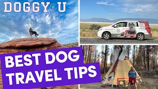 Top Tips for Traveling with a Dog: On the Road with a Guide Dog Trainer