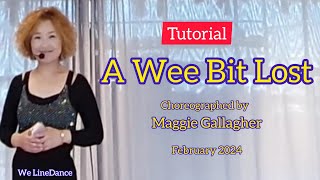 Tutorial : A Wee Bit Lost Linedance