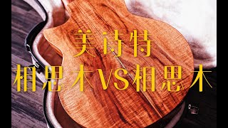 养活半个华语乐坛的玉置浩二：恋の予感\u0026Friend      Maestro美诗特吉他