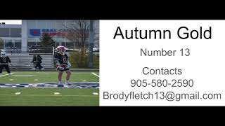 Brody Fletcher Autumn Gold highlights