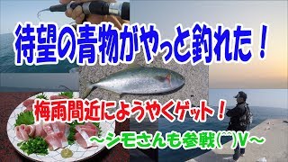 【ショアジギング】ようやく青物が釣れた！梅雨突入前☆彡