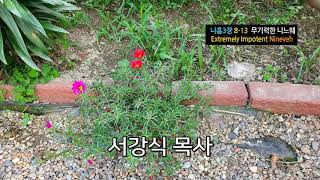 [세상을 향한 여호와의 진노]나훔3장8-13(무기력한 니느웨-Extremely Impotent Nineveh ),Corner Stone, 성경 말씀,서강식 목사