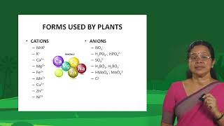 Lecture Video on Nutritional Disorders in Crops by Dr. Shalini Pillai P, Professor (Agronomy), KAU