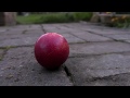 PLUM: Locked Down - An experimental micro-short made for the Quarantine Film Challenge