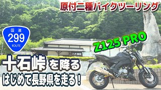 【酷道299号】十石峠から長野県を走るツーリング【Z125 PRO】