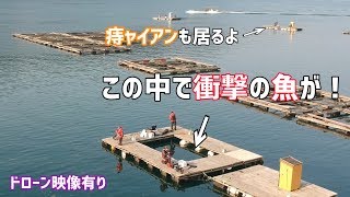 【筏】ダンゴもフカセも封印したら衝撃の魚が！(Vol.39)