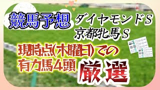 【競馬予想】京都牝馬Ｓ　ダイヤモンドＳ　2023