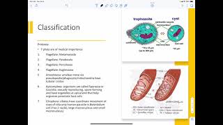 Human Parasite Introduction