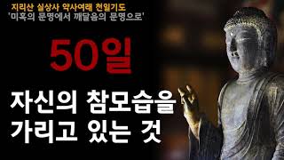 [지리산 실상사 약사여래 천일기도] 50일차입니다. '자신의 참모습을 가리고 있는 것' -도법스님