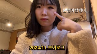 11월 도쿄 일상 브이로그vlog ) 일본와서 첫 부상 / 쉐어하우스 완벽 적응기