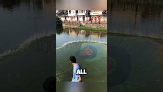 **Master Fisherman: Expertly Casting Nets for a Bountiful Catch** #shortvideo