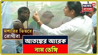 এই বর্ষায় ভয়াবহ আকার নিয়েছে Dengue , ক্রমে বাড়ছে আক্রান্তের সংখ্যা