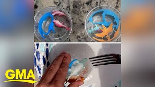 3 free ways to create endless summer fun for kids l GMA