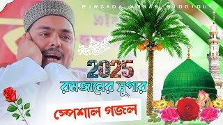 পীরজাদা আব্বাস সিদ্দিকী গজল।pirzada Abbas Siddiqui gojol। রমজানের সুপার গজল স্পেশাল।