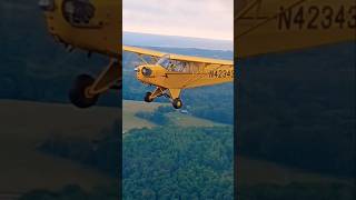 piper cub formation #america  #taildragger #piperj3 #flying #bushplane #aviation