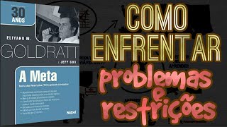 Resenha animada | A META | Eliyahu Goldratt | SÉRIE PENSAMENTO\u0026GESTÃO | por Nixon Diniz