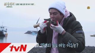 3bobfish [예고] 새벽부터 굴캐릭\u0026균상! 자연산 굴 호로록! 161216 EP.10