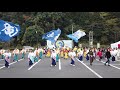 山口県周南支部　２０１９日原らっせによさこい祭り