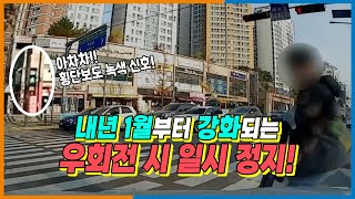 17824회. 우회전? 그냥 갔다가 사고 나면? 신호 위반!! 안전한 우회전 방법 정리!