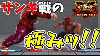 【対戦日記】ザンギ戦はこう戦え！！立ち回りここに極まれり！【影ナル者でストリートファイターV】#197