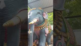 Sri Karaimel Alagar Ayyanar Temple, Thiruvennainallur #travel #travelvlog #devotional #bakthi