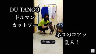 DU TANGO デュタンゴ のドルマンカットソーを紹介しました。Wafflish Waffle ワッフリッシュワッフルをしていたデザイナーが立ち上げたブランド。セレクトショップ「マイティワークス」