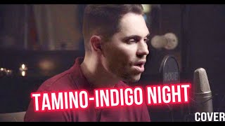 Tamino - Indigo Night (cover by Walter Stone)