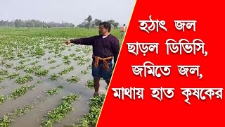 হঠাৎ জল ছাড়ল ডিভিসি! বিস্তীর্ণ আলু চাষের জমি জলমগ্ন।