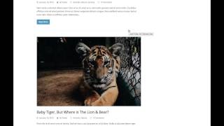 Installing WordPress Sample Data - Total WordPress Theme
