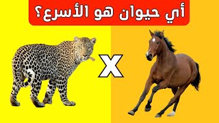 تحدي عن الحيوانات | من هو الحيوان الأسرع؟ 🦌​🐎​