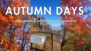 Autumn Days in Seoul🍁| Gwanaksan Mountain Hiking, Seoul National University, Gwanaksan Park vlog