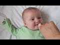 Brush-Baby DentalWipes (Isabel Brandon) - салфетки для полости рта с ксилитом