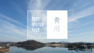 [유튜브 전통시장 ] 충청북도 괴산군 청천푸른내시장 홍보영상 #여행