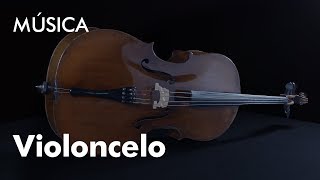 Conhecer um instrumento: O Violoncelo