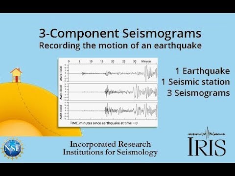 Why does a seismogram have 3 lines?