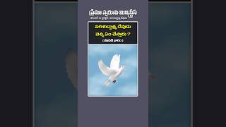 Short - 253 | పరిశుద్ధాత్మ దేవుడు వచ్చి ఏం చేస్తారు ? (మొదటి భాగం) | #teluguchristiantruth