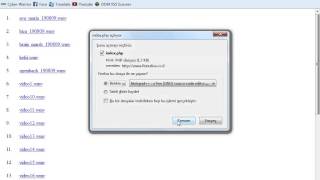Script Source Code Disclosure