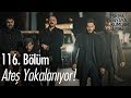 Ateş Yakalanıyor Eşkıya Dünyaya Hükümdar Olmaz 116 Bölüm