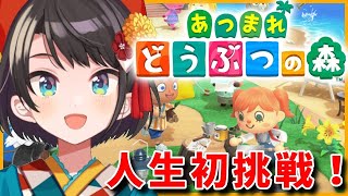 【人生初】あつめろどうぶつの森　初日【どうぶつの森シリーズ】