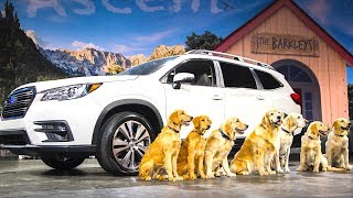 Subaru Ascent Live World Premiere All New 2018  + Subaru Dogs Commercial The Barkleys  CARJAM TV