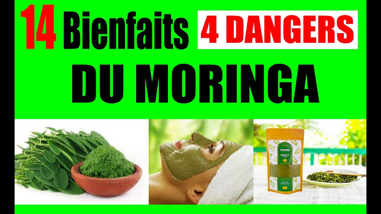 14 Bienfaits étonnants Du Moringa Pour Votre Santé Et Ses Dangers - YouTube