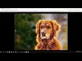Learn to create Image Slider in HTML5, CSS3 and JQuery - learn jQuery
