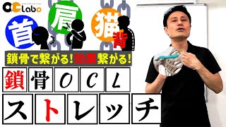 【鎖骨】肩こり、首痛、猫背、巻き肩など、鎖骨で繋がるストレッチ！肩のパフォーマンスアップにも効果大！