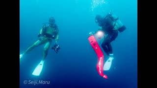 2021/6/18-20　ダイブ愛南で水中写真家･鍵井靖章さん と潜る