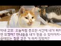 【반전 신청사연】 예비신랑 키워낸 다섯 고모가 회사로 쳐들어와 예단비 1억씩 내라며 으름장 그런데 내 가방이 쏟아지자 일제히 새파랗게 질리는데…