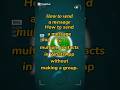 How to send a message to multiple/all contacts on WhatsApp?