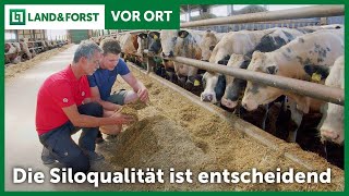 Expertengespräch Silomais: Silagequalität ist vielschichtiger als gedacht! │ LAND \u0026 FORST │ Vor Ort